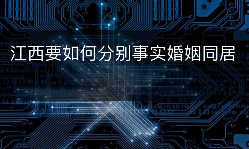 江西要如何分别事实婚姻同居