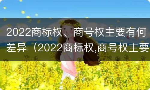 2022商标权、商号权主要有何差异（2022商标权,商号权主要有何差异呢）