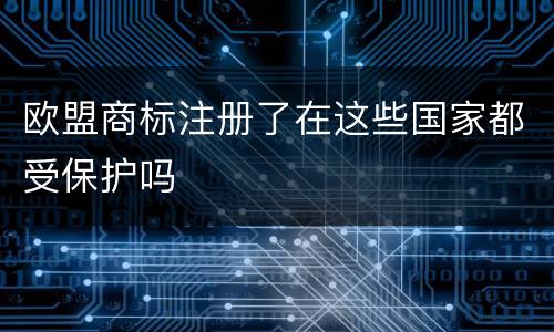欧盟商标注册了在这些国家都受保护吗