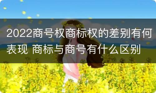 2022商号权商标权的差别有何表现 商标与商号有什么区别