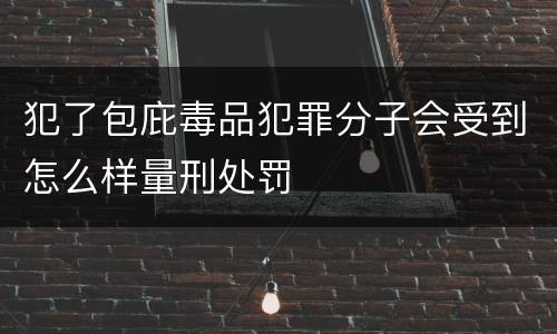 犯了包庇毒品犯罪分子会受到怎么样量刑处罚