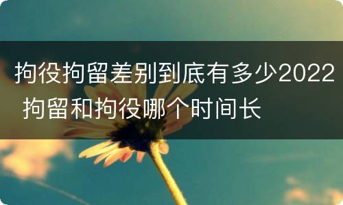 拘役拘留差别到底有多少2022 拘留和拘役哪个时间长