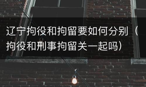 辽宁拘役和拘留要如何分别（拘役和刑事拘留关一起吗）