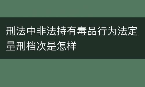 刑法中非法持有毒品行为法定量刑档次是怎样