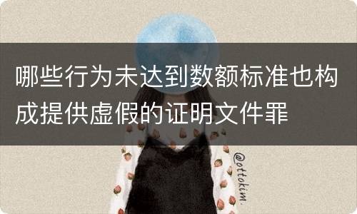 哪些行为未达到数额标准也构成提供虚假的证明文件罪