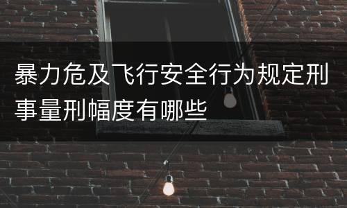 暴力危及飞行安全行为规定刑事量刑幅度有哪些