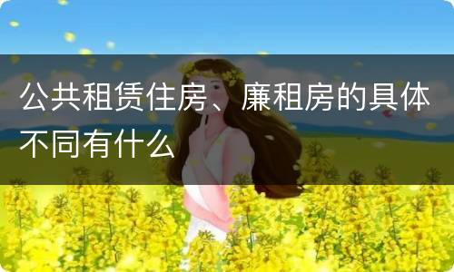 公共租赁住房、廉租房的具体不同有什么