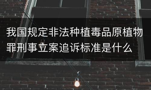 我国规定非法种植毒品原植物罪刑事立案追诉标准是什么