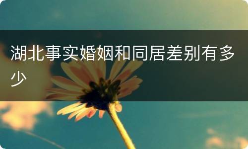 湖北事实婚姻和同居差别有多少