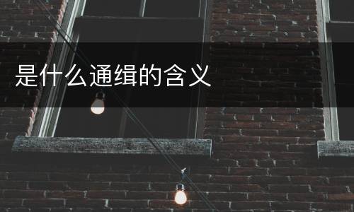 是什么通缉的含义