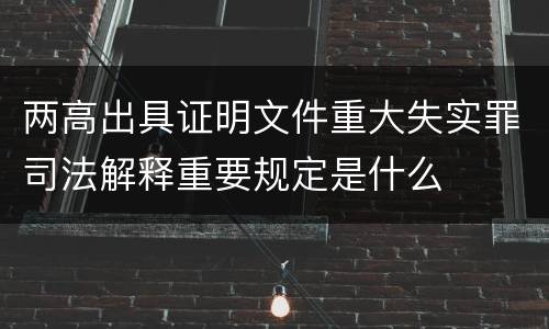两高出具证明文件重大失实罪司法解释重要规定是什么