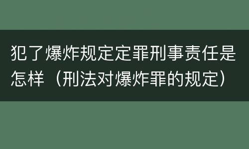 犯了爆炸规定定罪刑事责任是怎样（刑法对爆炸罪的规定）
