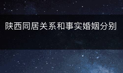 陕西同居关系和事实婚姻分别