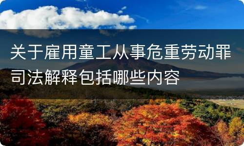 关于雇用童工从事危重劳动罪司法解释包括哪些内容