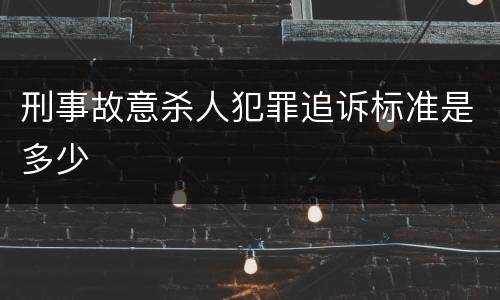刑事故意杀人犯罪追诉标准是多少