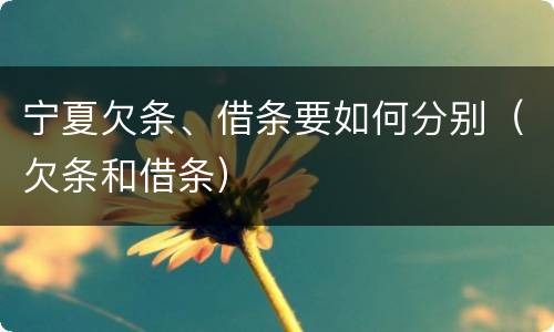 宁夏欠条、借条要如何分别（欠条和借条）