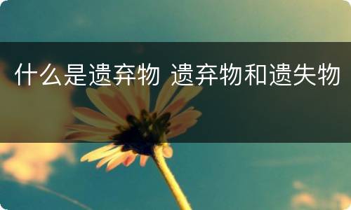 什么是遗弃物 遗弃物和遗失物