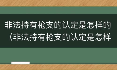 非法持有枪支的认定是怎样的（非法持有枪支的认定是怎样的标准）
