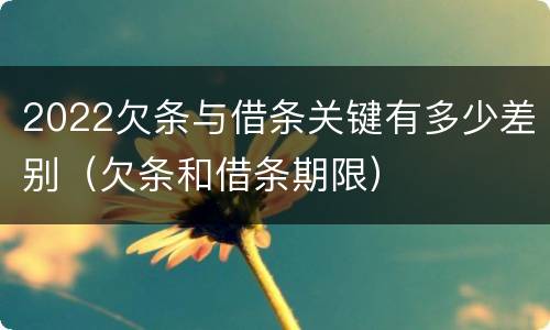 2022欠条与借条关键有多少差别（欠条和借条期限）