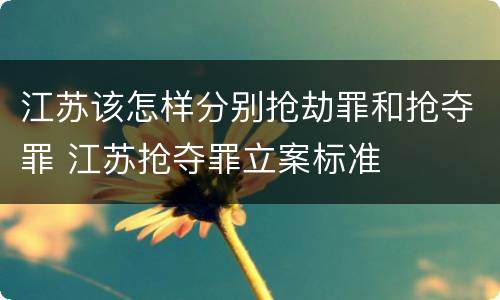 江苏该怎样分别抢劫罪和抢夺罪 江苏抢夺罪立案标准