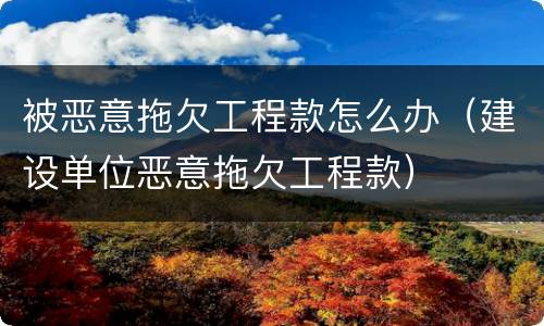 被恶意拖欠工程款怎么办（建设单位恶意拖欠工程款）
