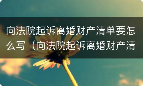 向法院起诉离婚财产清单要怎么写（向法院起诉离婚财产清单要怎么写才有效）