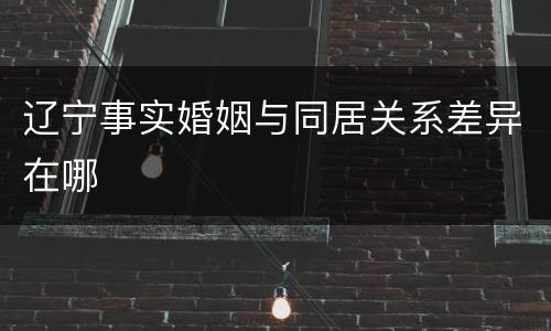 辽宁事实婚姻与同居关系差异在哪