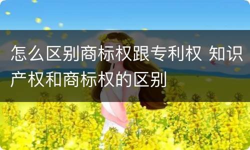 怎么区别商标权跟专利权 知识产权和商标权的区别