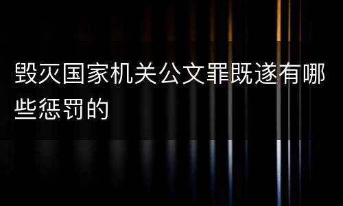 毁灭国家机关公文罪既遂有哪些惩罚的