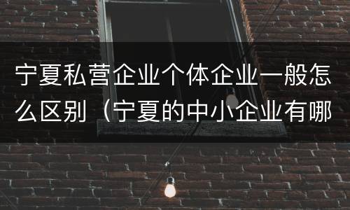 宁夏私营企业个体企业一般怎么区别（宁夏的中小企业有哪些）
