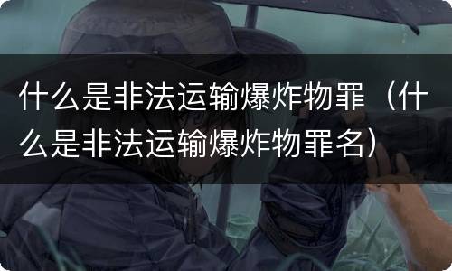 什么是非法运输爆炸物罪（什么是非法运输爆炸物罪名）