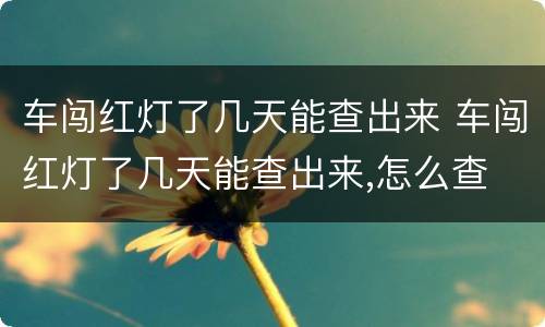 车闯红灯了几天能查出来 车闯红灯了几天能查出来,怎么查
