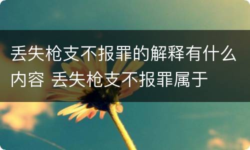 丢失枪支不报罪的解释有什么内容 丢失枪支不报罪属于