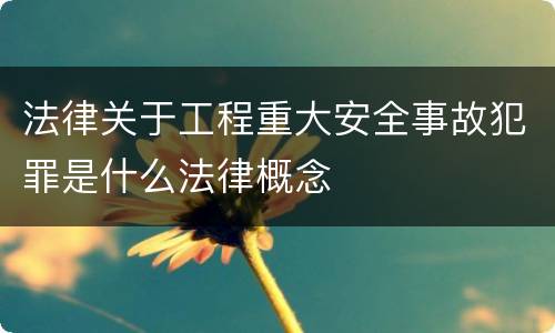 法律关于工程重大安全事故犯罪是什么法律概念