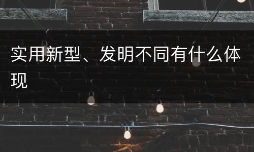 实用新型、发明不同有什么体现