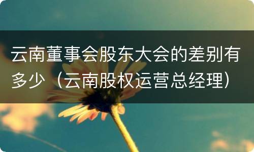 云南董事会股东大会的差别有多少（云南股权运营总经理）