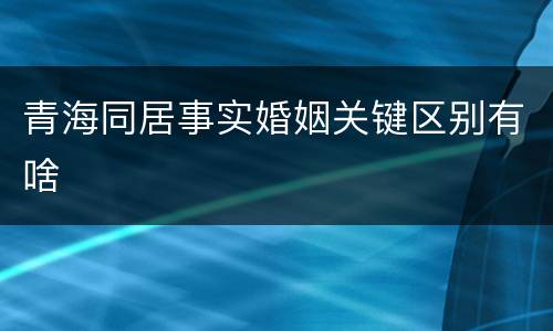 青海同居事实婚姻关键区别有啥