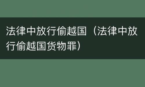 法律中放行偷越国（法律中放行偷越国货物罪）