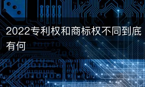 2022专利权和商标权不同到底有何