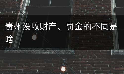 贵州没收财产、罚金的不同是啥