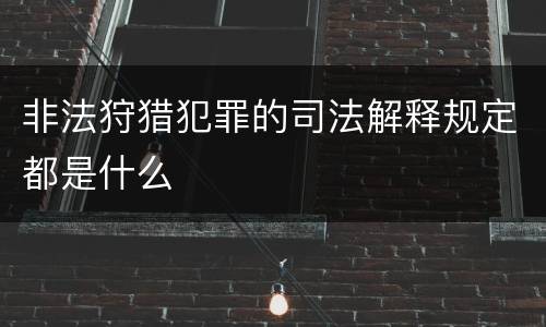 非法狩猎犯罪的司法解释规定都是什么