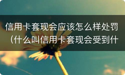信用卡套现会应该怎么样处罚（什么叫信用卡套现会受到什么处罚）