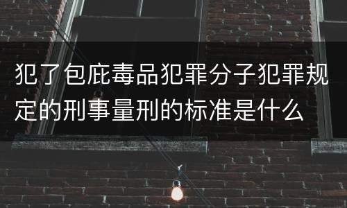 犯了包庇毒品犯罪分子犯罪规定的刑事量刑的标准是什么