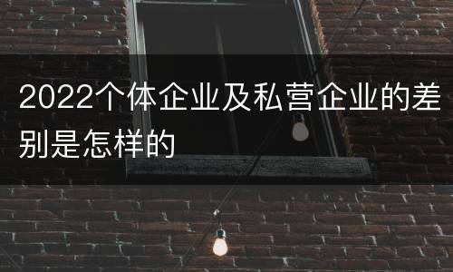 2022个体企业及私营企业的差别是怎样的