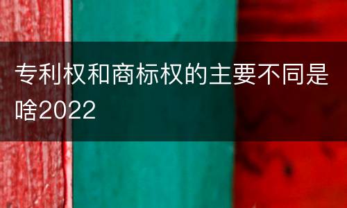 专利权和商标权的主要不同是啥2022