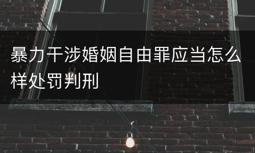 暴力干涉婚姻自由罪应当怎么样处罚判刑
