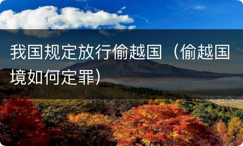 我国规定放行偷越国（偷越国境如何定罪）