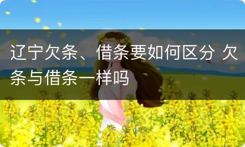 辽宁欠条、借条要如何区分 欠条与借条一样吗