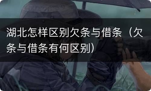湖北怎样区别欠条与借条（欠条与借条有何区别）