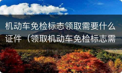 机动车免检标志领取需要什么证件（领取机动车免检标志需要什么手续）